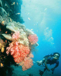 Cozumel